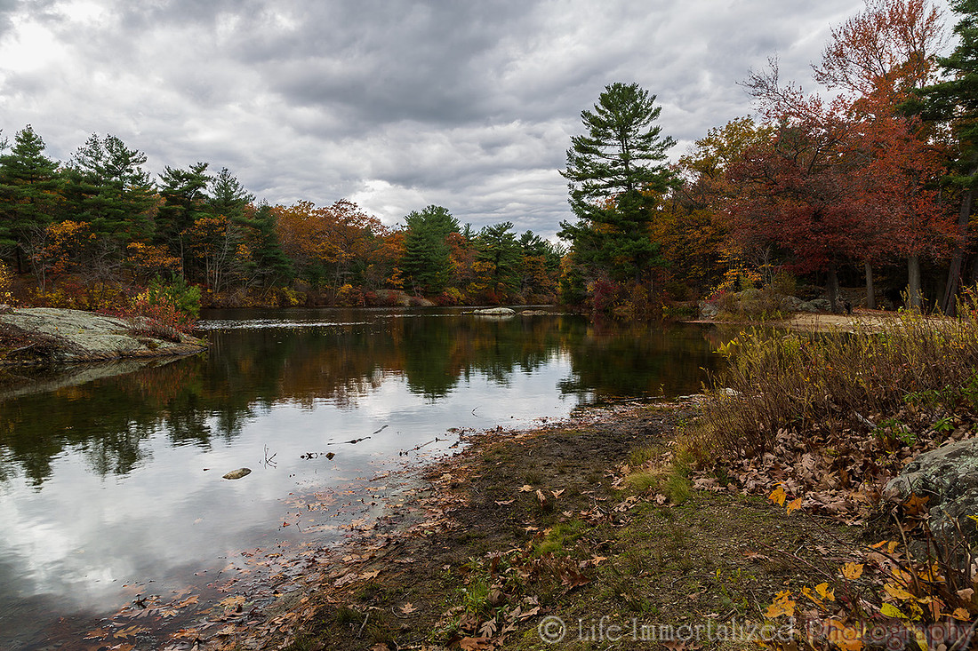 Fall Foliage at Breakheart Reservation
