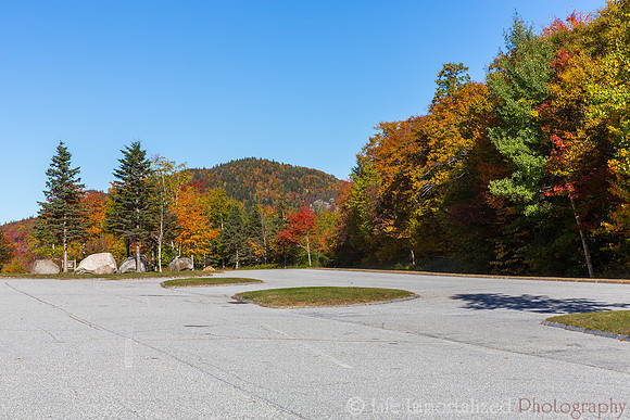 Foliage of Franconia Notch