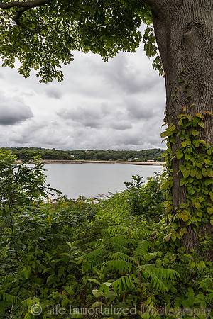 Coolidge Reservation