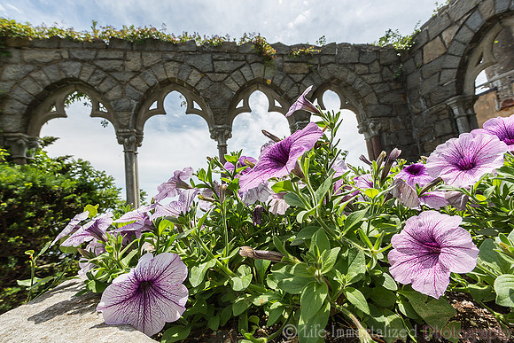 Hammond Castle