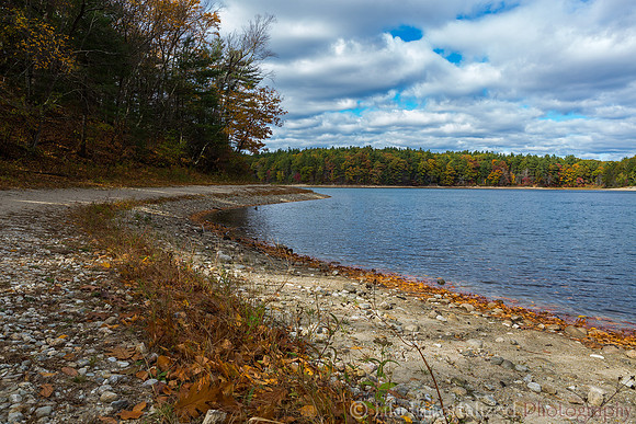 Walden Pond