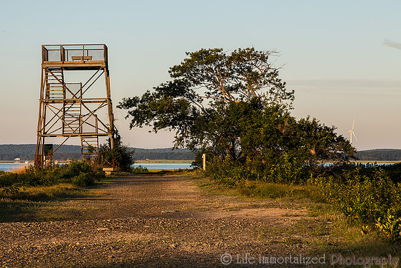 Plum Island Observation Tower