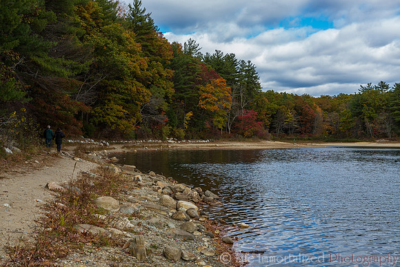 Walden Pond