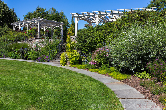 Secret Garden