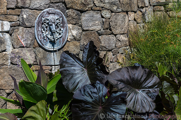 Secret Garden