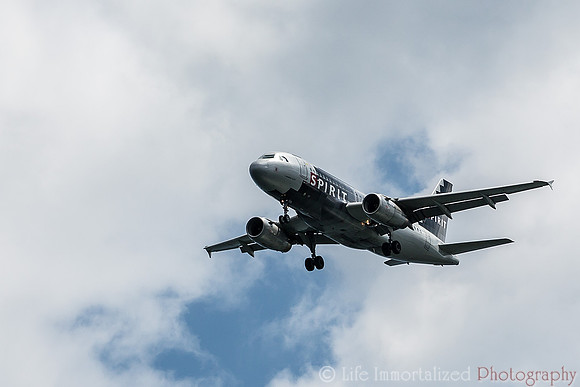 Plane in Flight