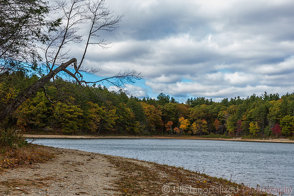 Walden Pond