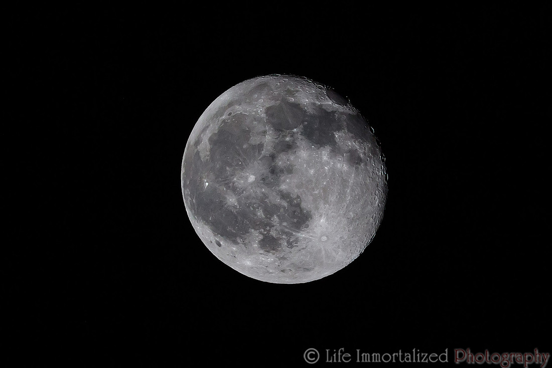The Moon