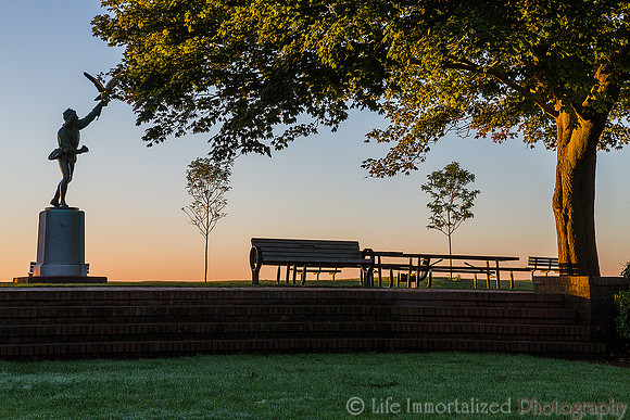 The Falconer of Lynch Park