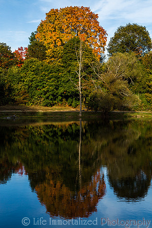 Greenlawn in Autumn