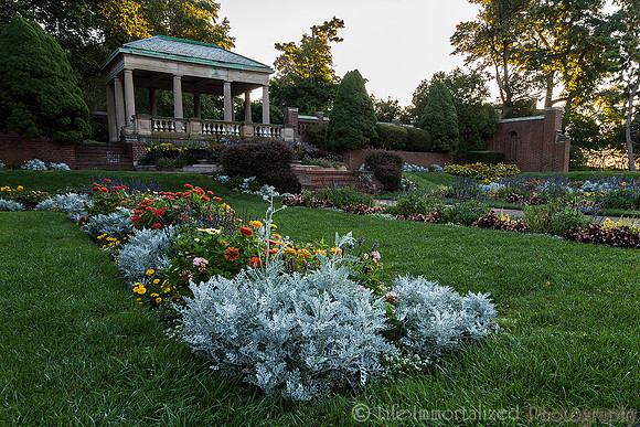 Lynch Park Rose Garden