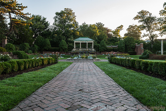Lynch Park Rose Garden