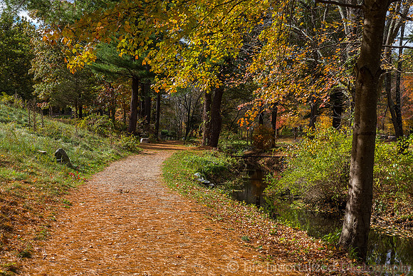 Trail to Grist Mill