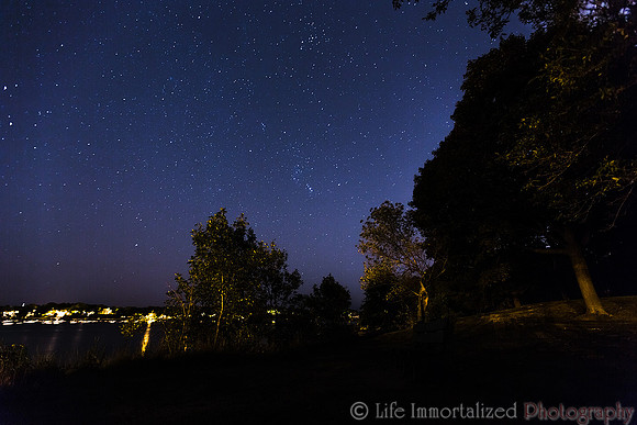Forest River Park under the Stars