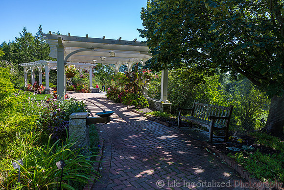 Secret Garden