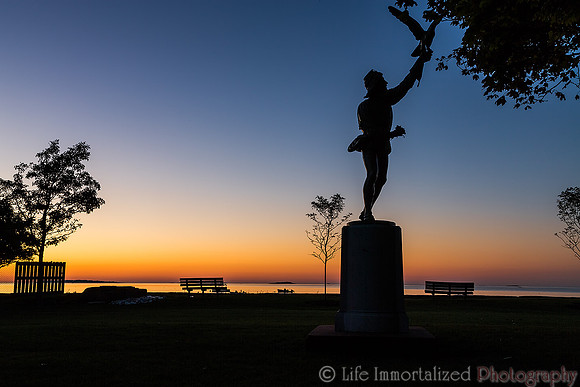 The Falconer at Dawn