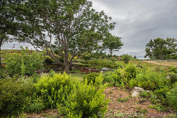 Fort Williams Park