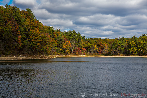 Walden Pond