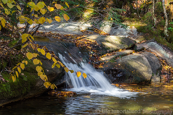 Falls of the Basin