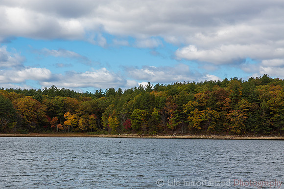 Walden Pond