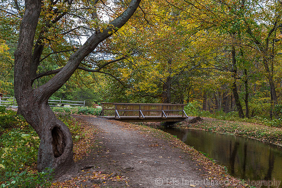 Grist Mill Trail