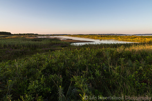 Plum Island Wetlands