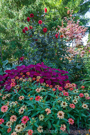 Secret Garden