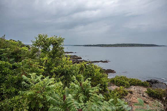 Fort Williams Park