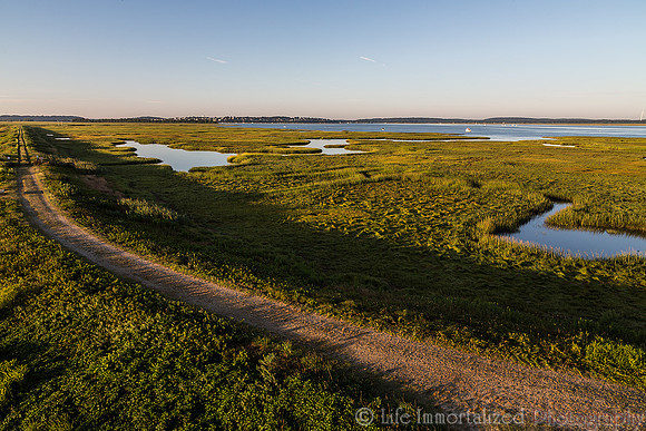 Plum Island Wetlands
