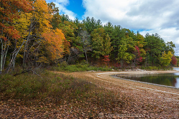 Walden Pond