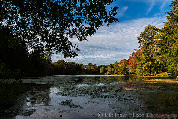Greenlawn in Autumn