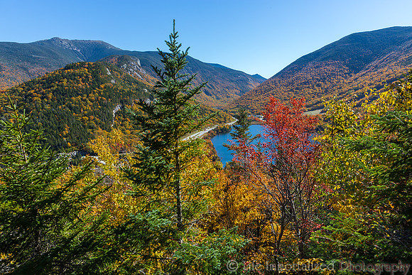 Artists Bluff View