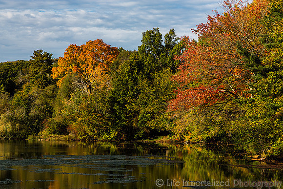 Greenlawn in Autumn
