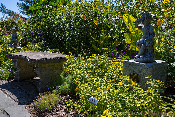 Secret Garden