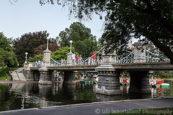 Public Garden