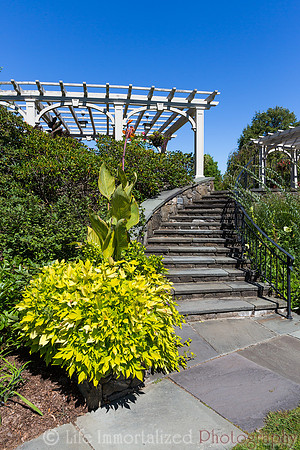 Secret Garden