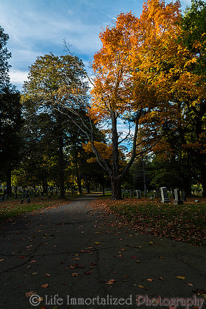 Greenlawn in Autumn