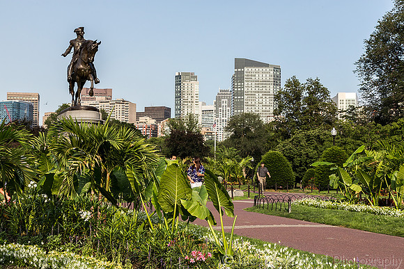 Public Garden
