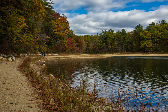 Walden Pond