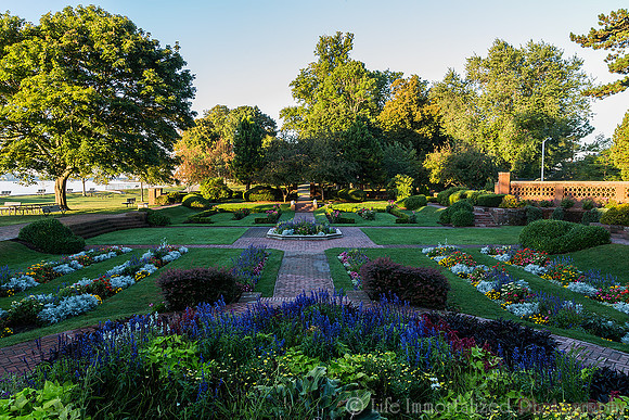 Lynch Park Rose Garden