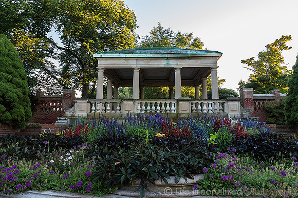 Lynch Park Rose Garden
